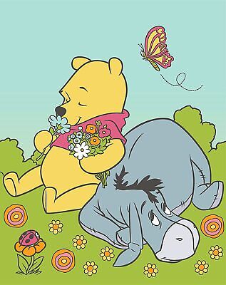 Disney Winnie The Pooh and Eeyore Baby Rachel Blanket